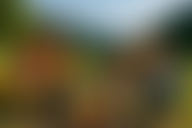 薪のぬくもりとクマの足跡