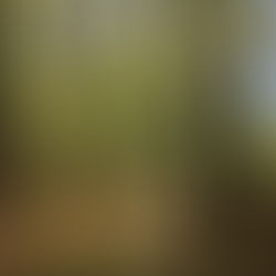 Celebrate Earth Day at Hays Nature Preserve 