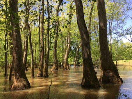 Hays Nature Preserve