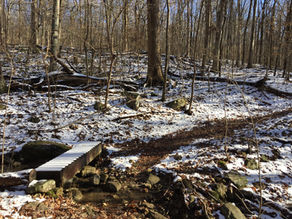 5 Ways to Beat the Cold on Winter Hikes 