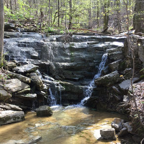 Blevins Gap Preserve