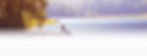 Wings-To-Fly-Counselling-Mental-Health-T