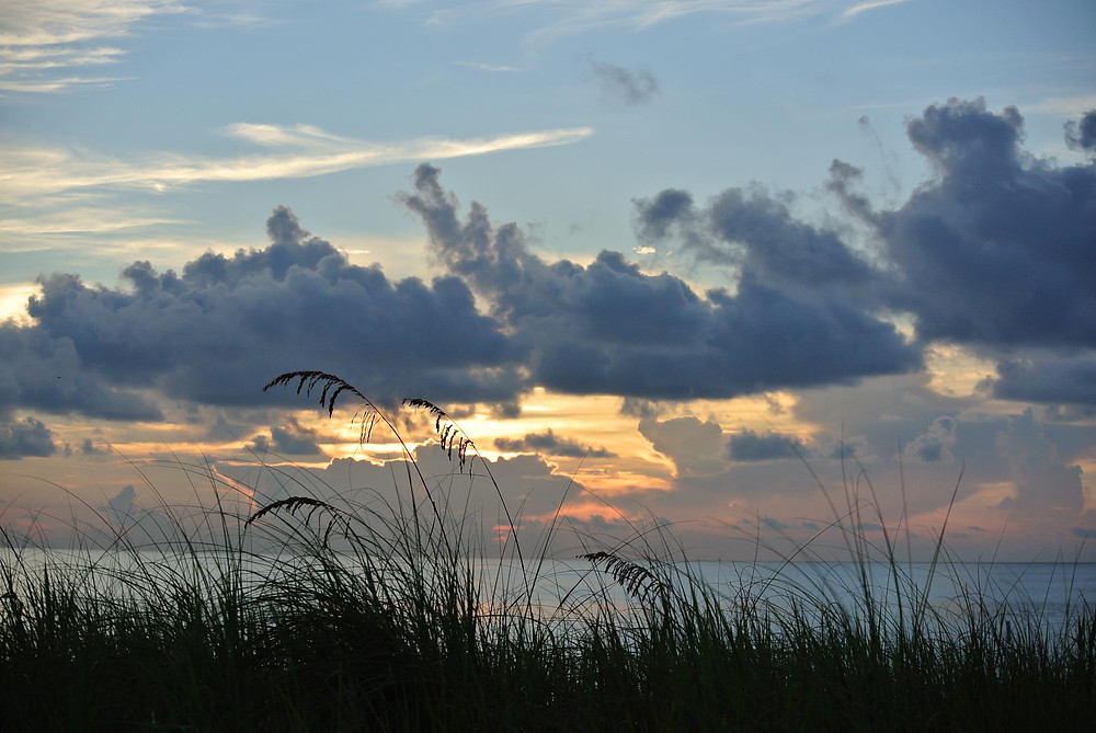 Reflections on God's Word