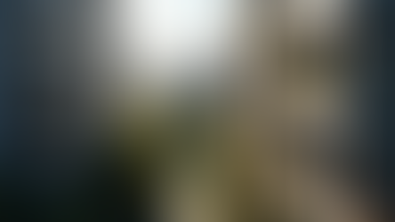 Residential Property Development Australia: Insights and Opportunities