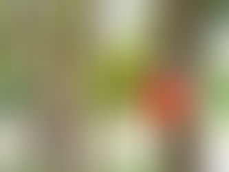 There's No Place Like Home