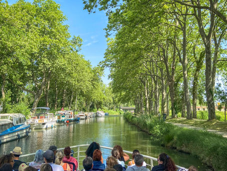 Toulouse, été 2026 : Festivals, culture en plein air, berges animées … La Ville rose se vit dehors