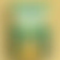 From Set-up to Success: Navigating Your Path to Purpose through the Yellow Brick Road