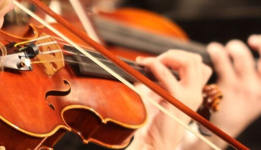 THE BODY’S INNER SYMPHONY