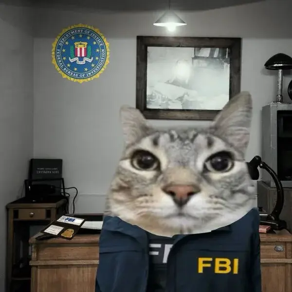 meme-fbi.webp
