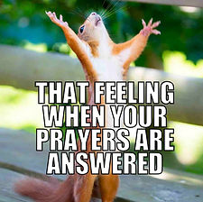 prayers-meme-960x960.jpeg