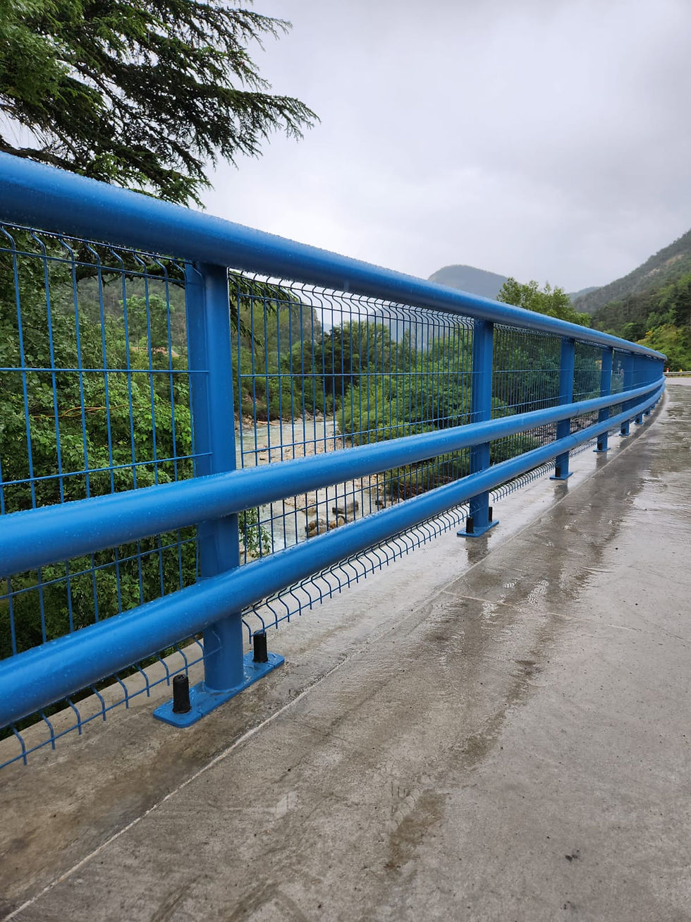 desami gcdf n2 pont bleu (1)