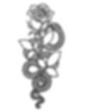 image1.jpeg
