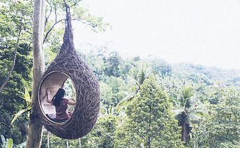 AdobeStock_282062432_edited.jpg