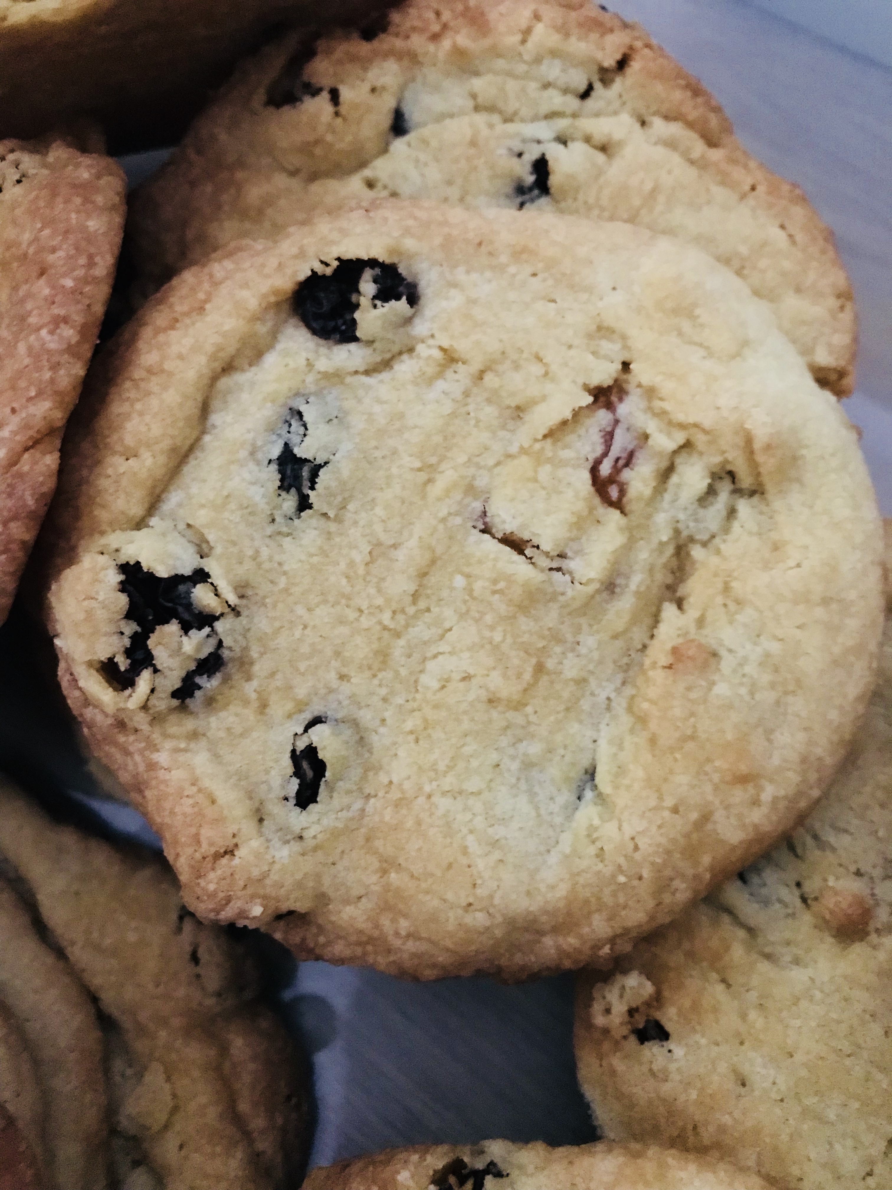 Maple & Raisin Cookie