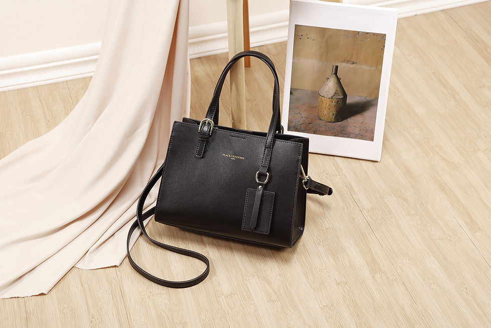 Miniature : SAC CONCORDE NOIR