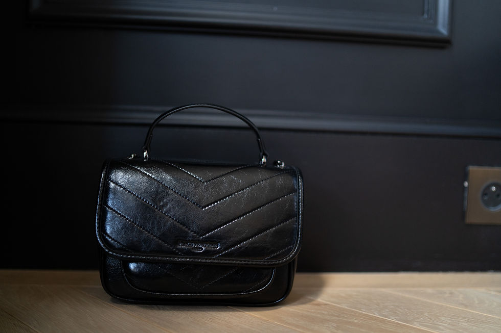 Miniature : SAC ROYAL NOIR