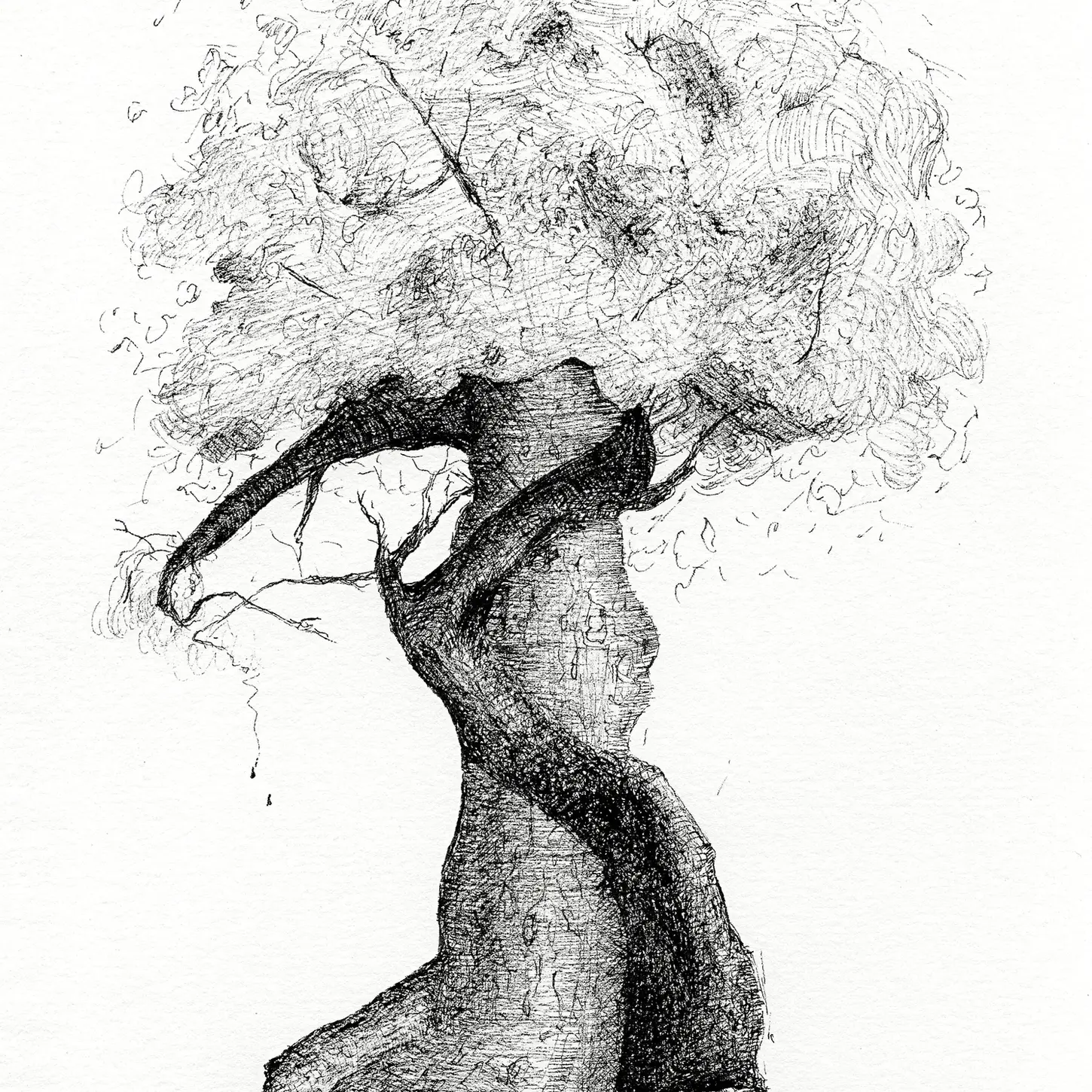 Sensitivitree - a pen and ink illustration by classical fine artist Jenny Elizabeth
