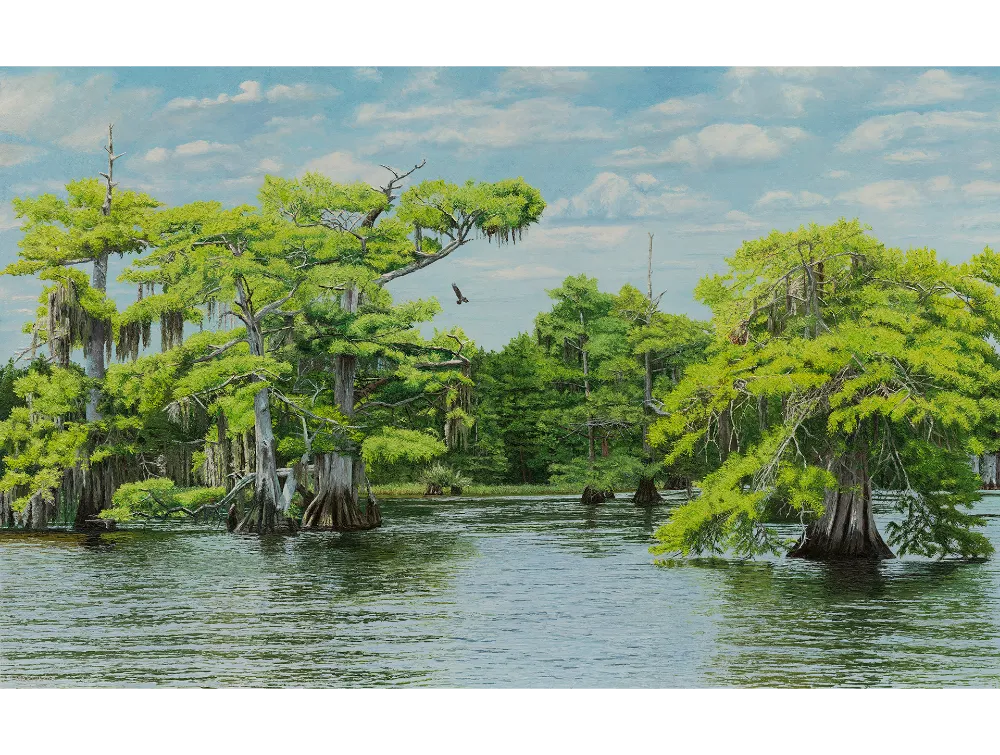 BLUE CYPRESS LAKE
