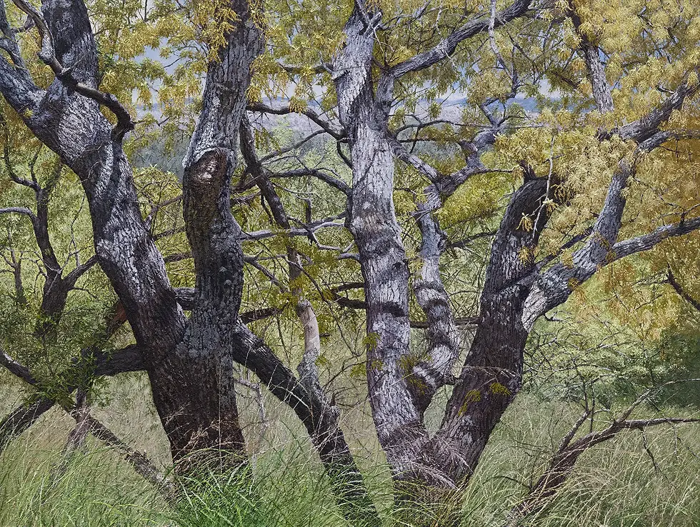 Mount Tabor Oaks in Flower oil painting by Richard Tiberius (1).webp