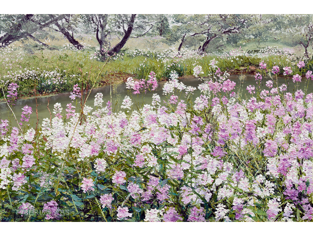 MEADOW PHLOX ON A RIVERBANK, MORNING MIST