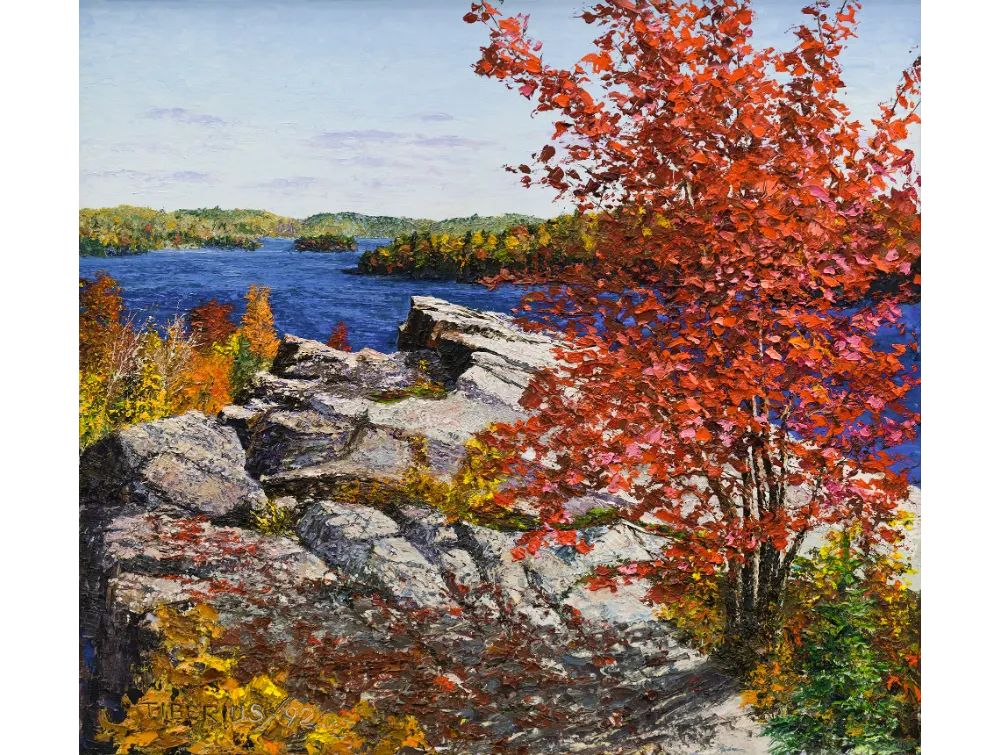 RED MAPLE IN FALL COLOR ON BEDROCK