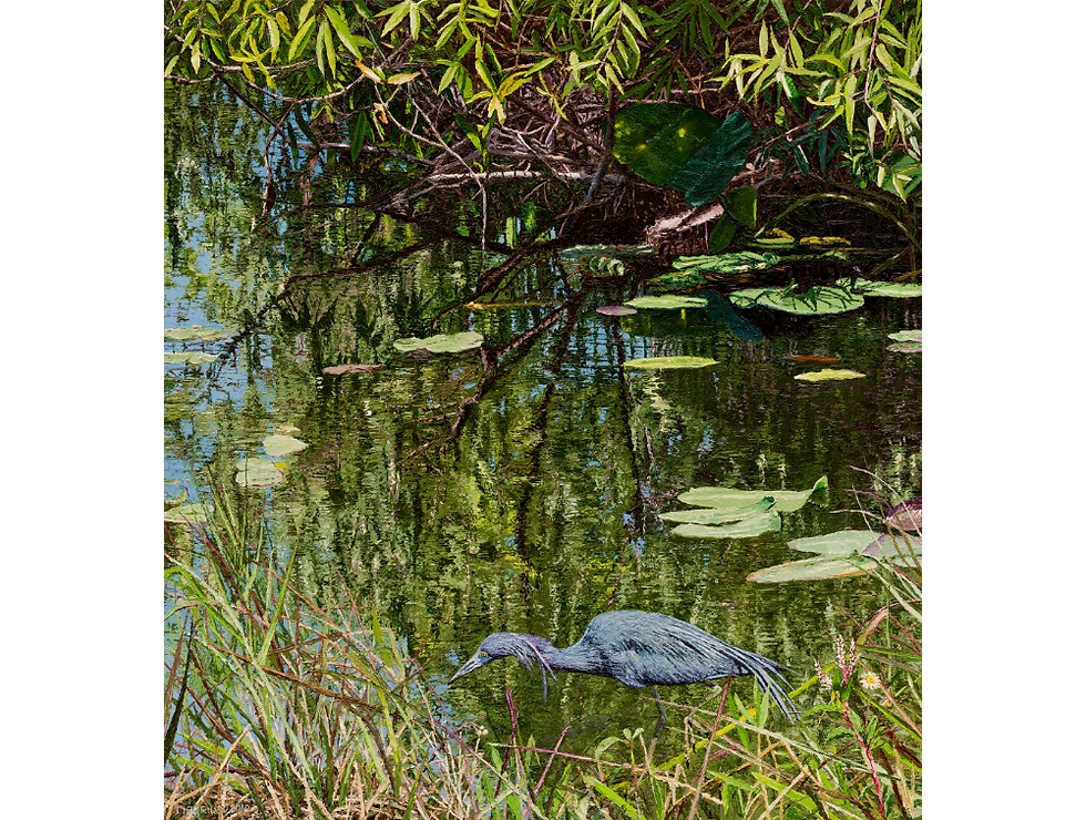 Willow and Little Blue Heron oil painting by Richard Tiberius