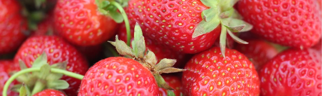 Photo of strawberries for Strawberry Seed Oil information