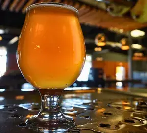 Second Street Brewery in the Railyard bacon cheeseburger