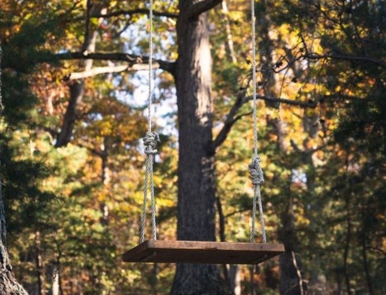 Tree swing in autumn at Hogue Head Lake Wedding Venue
