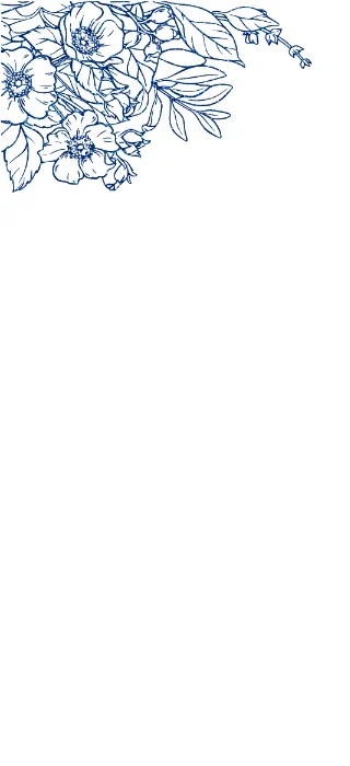 Dark Blue Glitter Dogwood Rose Header om white MOBILE.webp