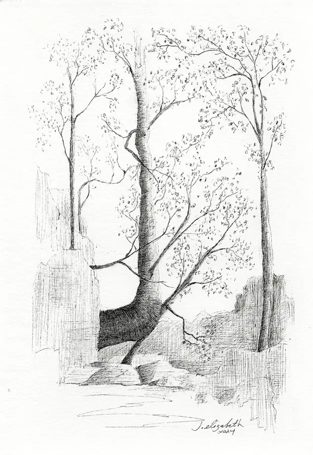 Capabilitree, pen and Ink drawing by classical fine artist Jenny Elizabeth