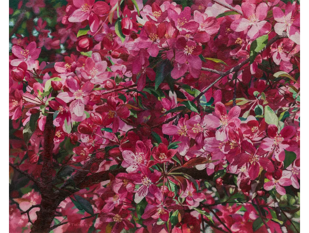 CRABAPPLE BLOSSOMS