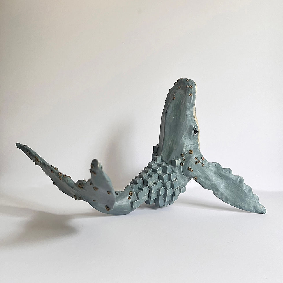 Thumbnail: Notback whale
