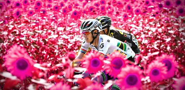 Sunflower-Cycler-pink-cropped.jpg