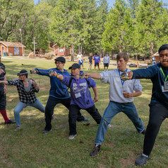 fencing .jpeg