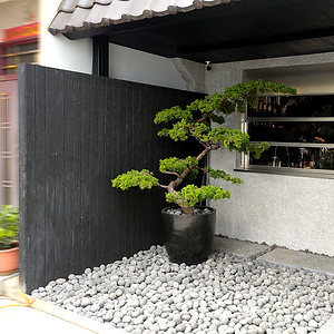 商業空間燒杉板建材