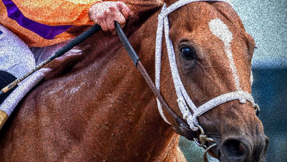 Dirty Horse Top Ten - The Final One, Mid-April