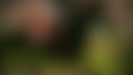 2023 Pegasus World Cup Analysis