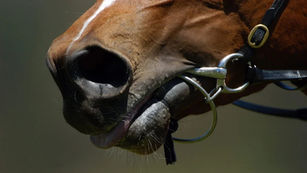 REPOST: Reading a Chart - Dirty Horse Style