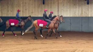 Dishing the Dirt - Edition #7