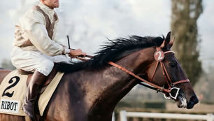 Dr. Roman and 23 New Masters of the Breed