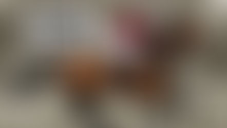 Members, Please Update!