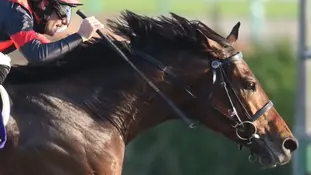 Our Work, The Dirty Horse Club 