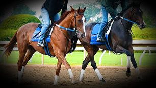 Running Through the Numbers - Stamina