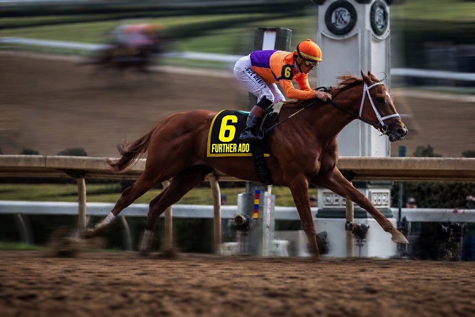 Further Ado against Potente in the Matt Winn