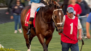 2026 Fountain of Youth - History and Analysis