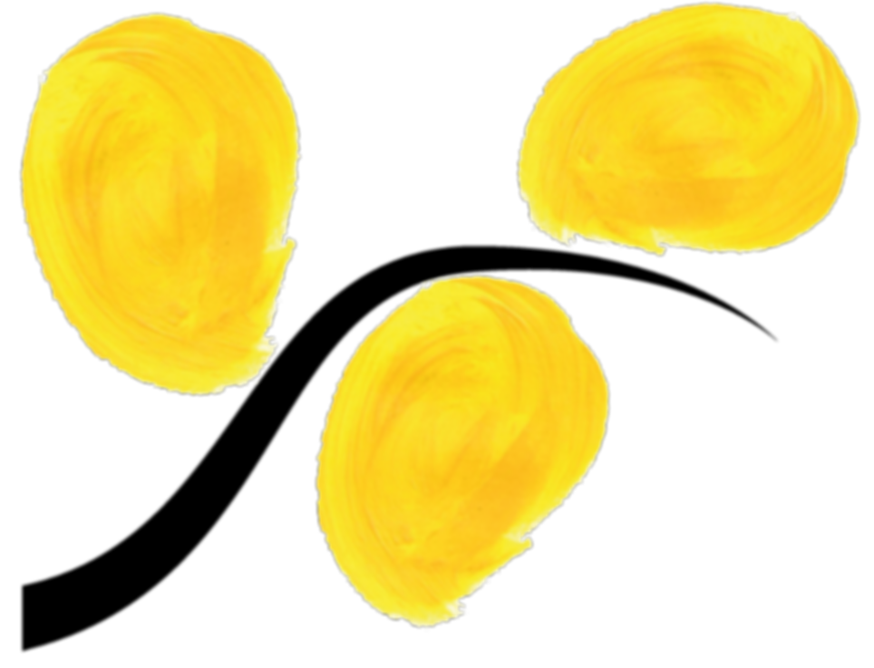 LOGO mimosa sans fond_edited.png