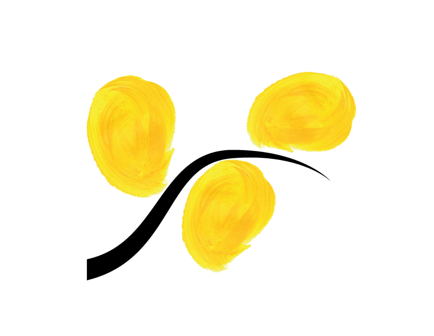 Les mimosas du cours