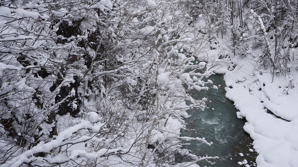 White-bearded Waterfall