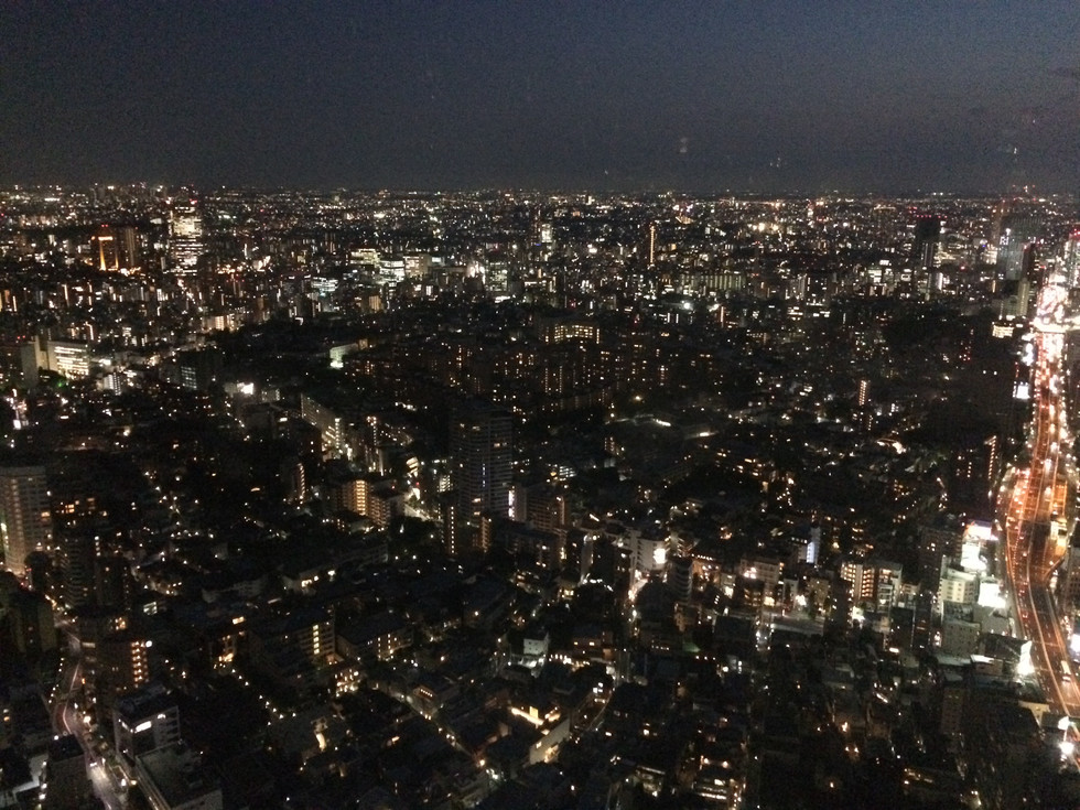 Tokyo view